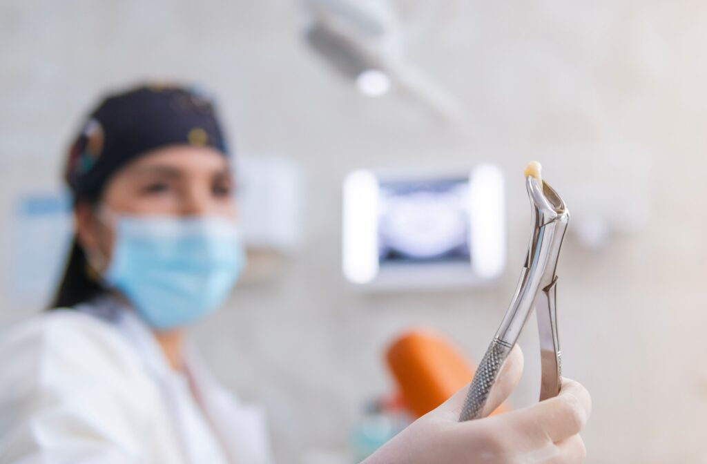 A dentist holding an extracted tooth with gripping forceps.